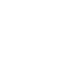 Seedance 2.0 Fast & Mini logo